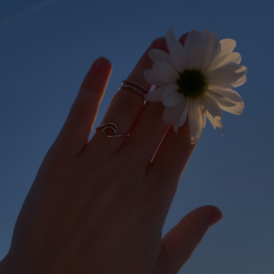 Taller gratuito filtros solares naturales