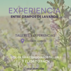Experiencias/Talleres Campos de Lavanda